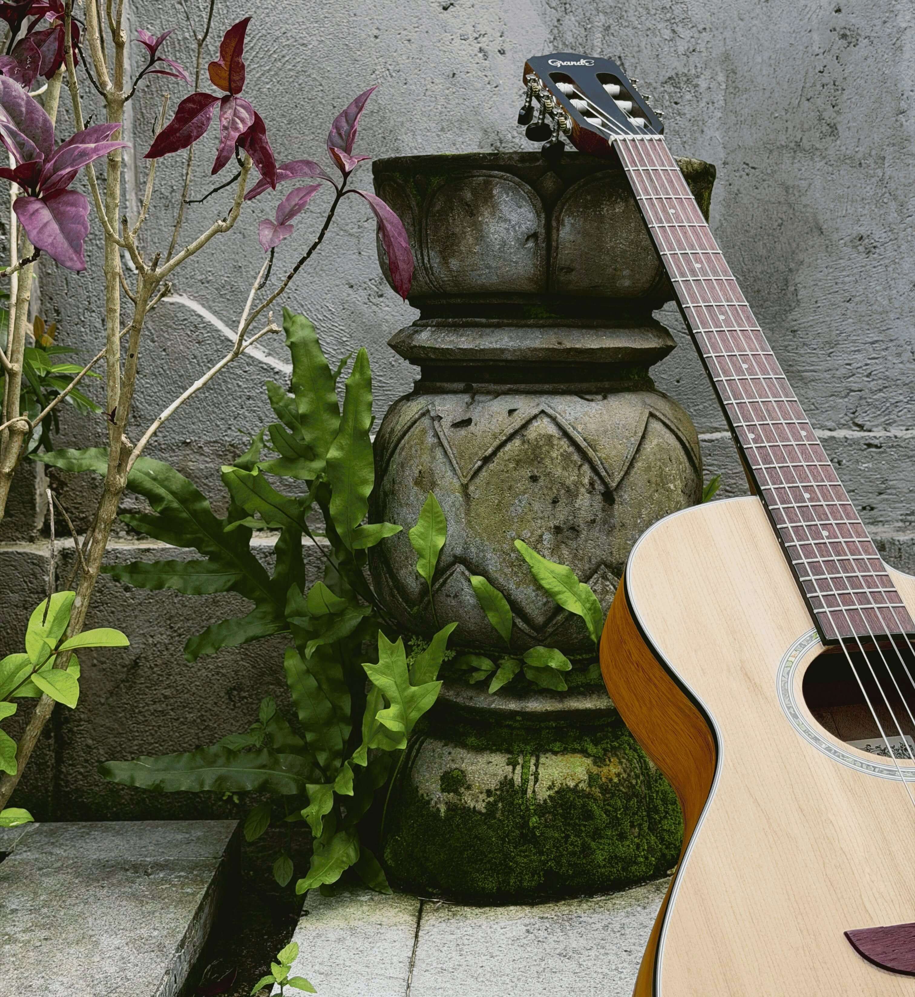 Guitar playing detail